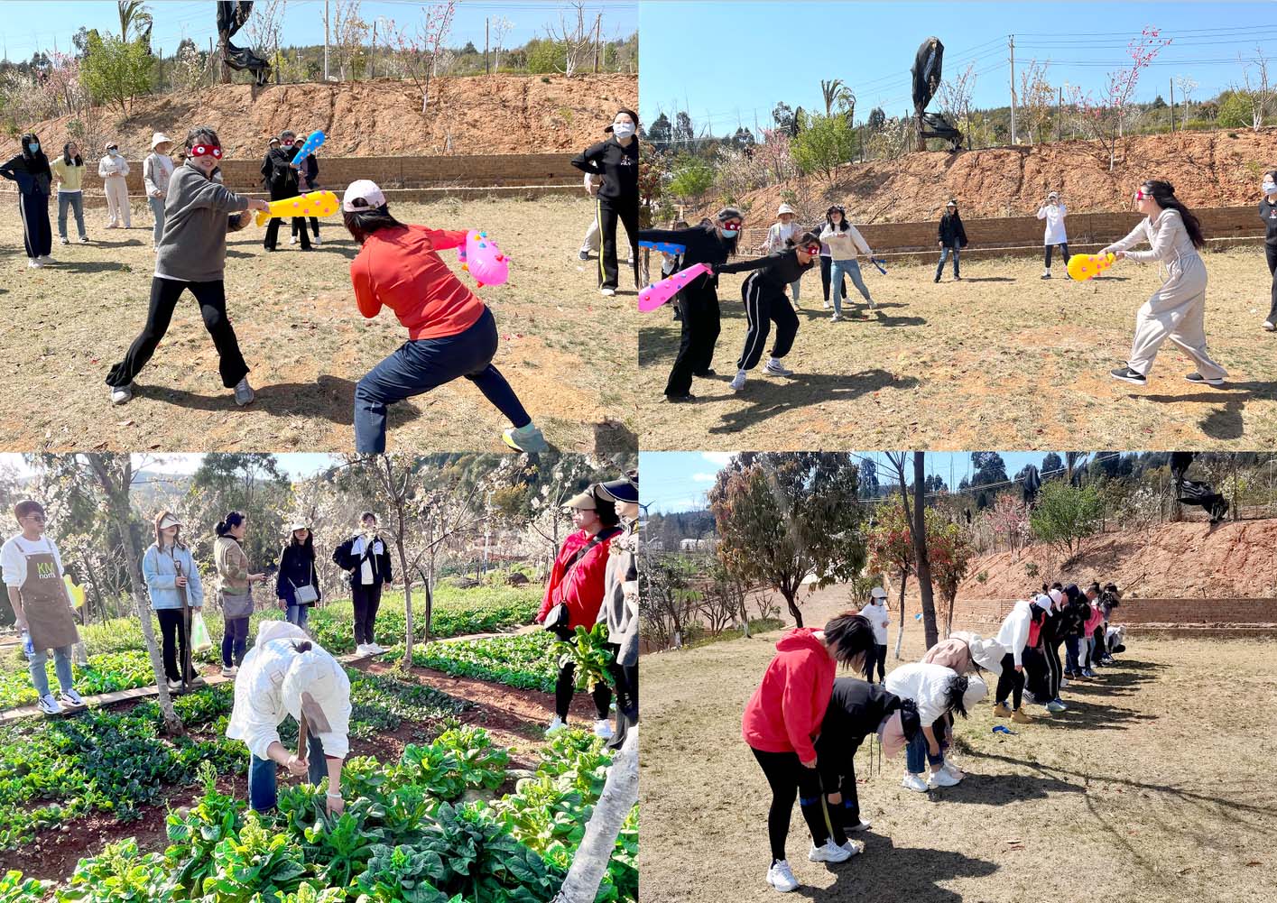 37944142b7237e7f79550f4ffaf7adb